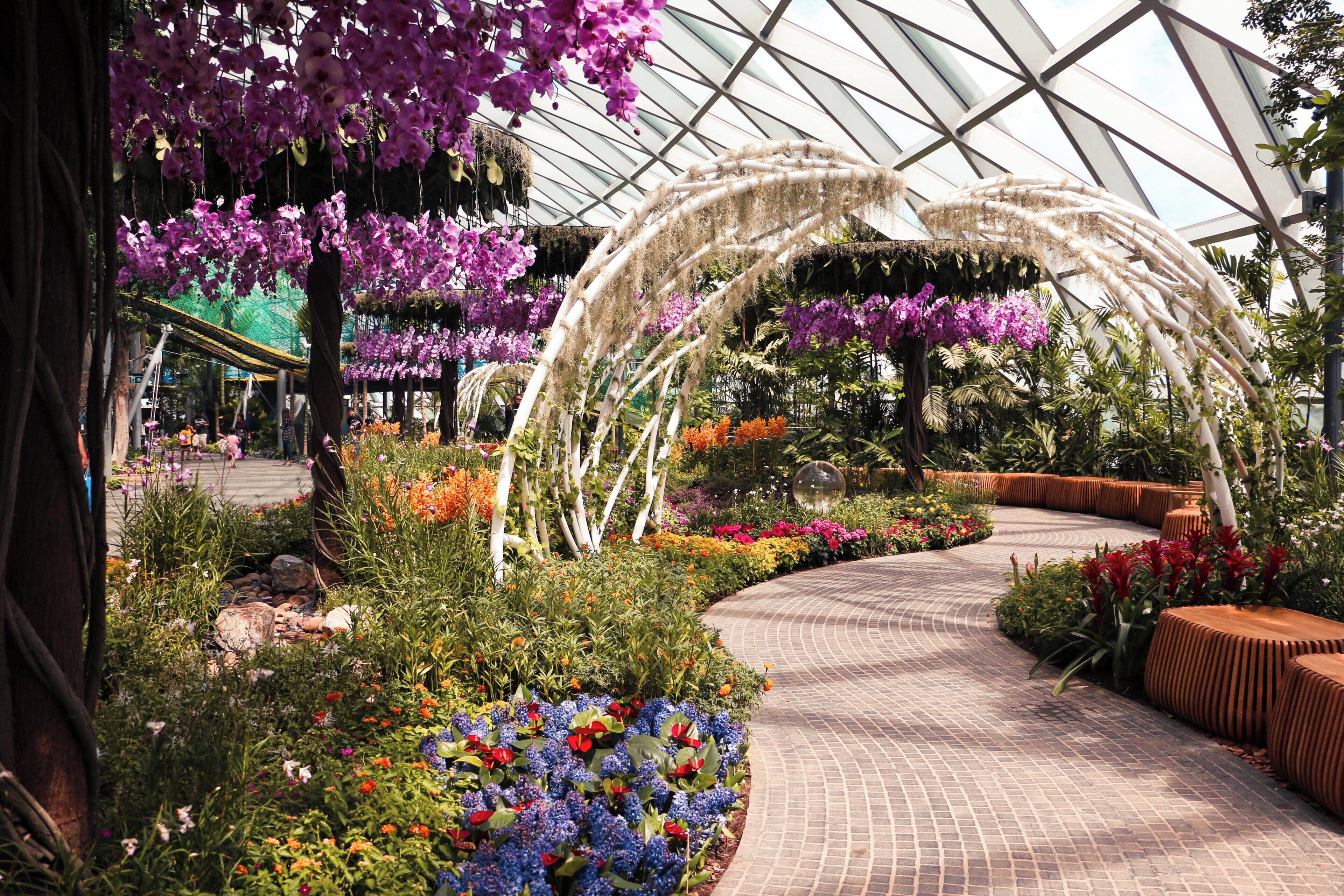A greenhouse with a brick pathway, various flowering plants, and hanging orchids.