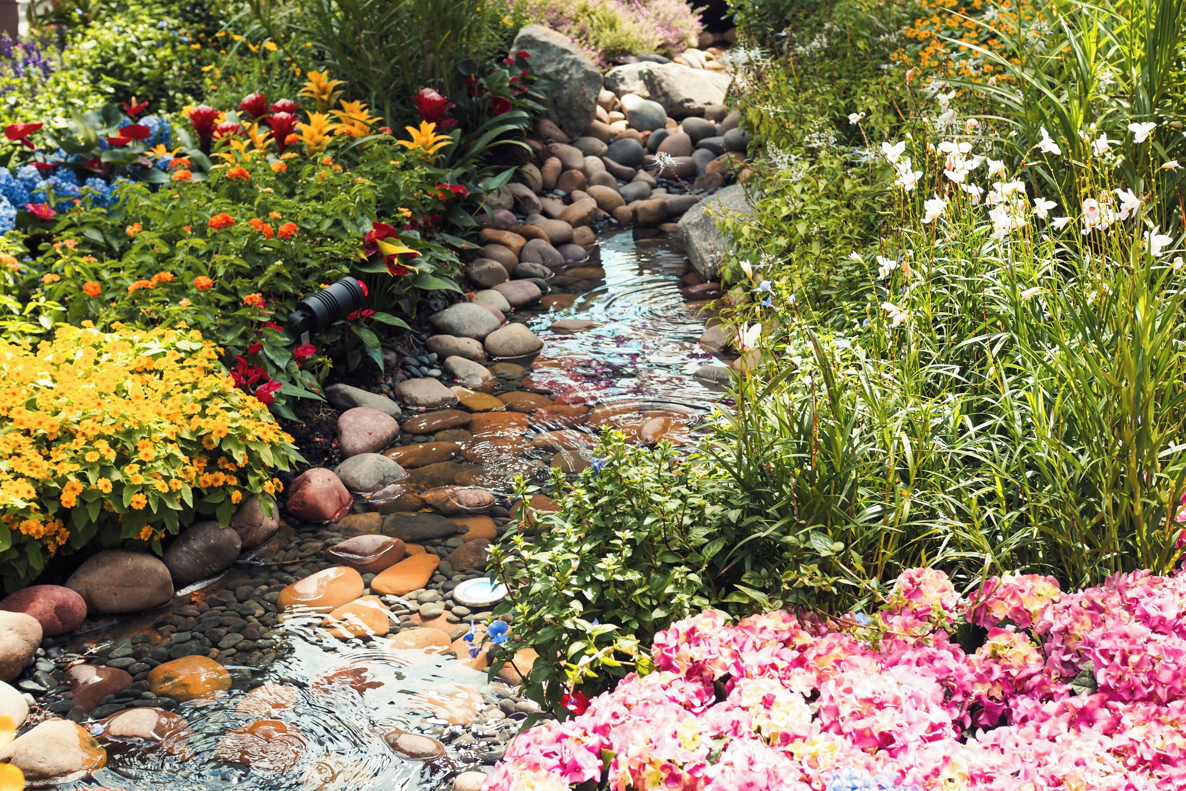 A garden with a stream, various flowers, and rocks.