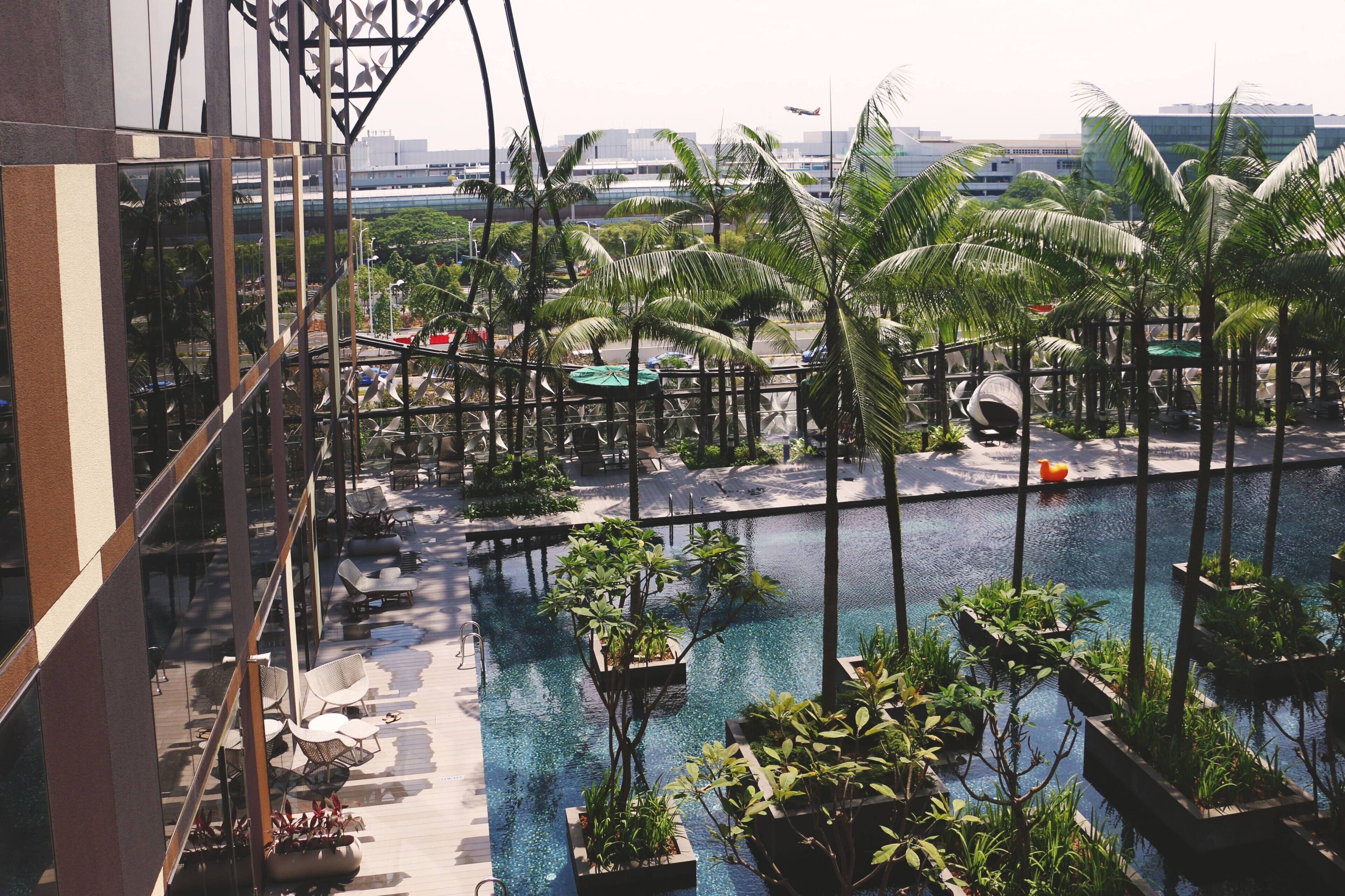 Un área de piscina en la azotea con sillas de descanso, palmeras y vistas panorámicas de la ciudad.