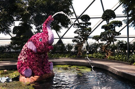Crowne Plaza Changi Airport, an IHG Hotel - Image 66