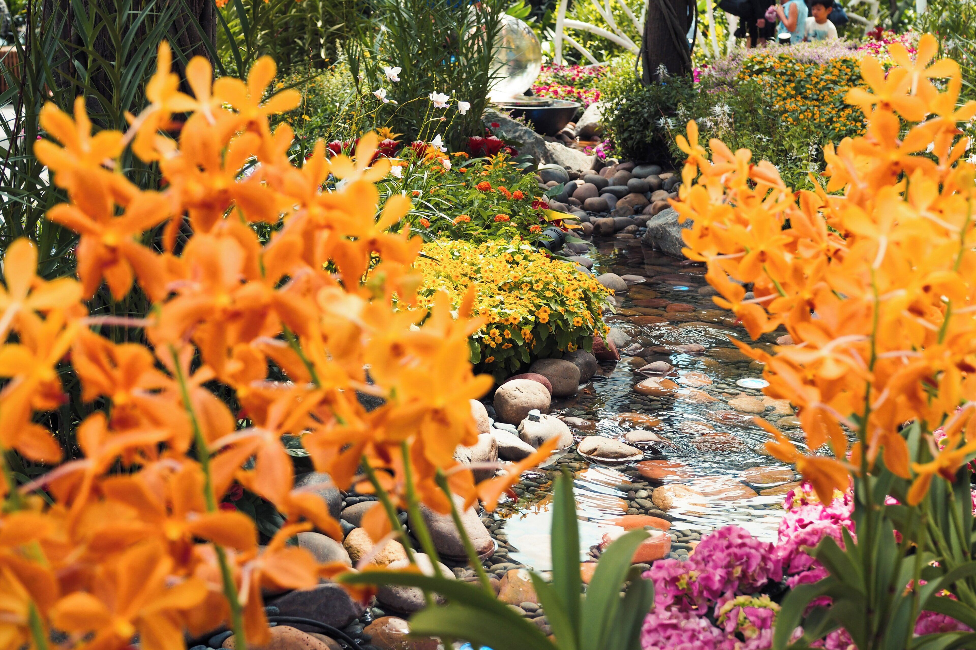 Un jardín con un arroyo, rocas y diversas flores.