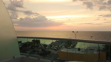 Servicio de la propiedad