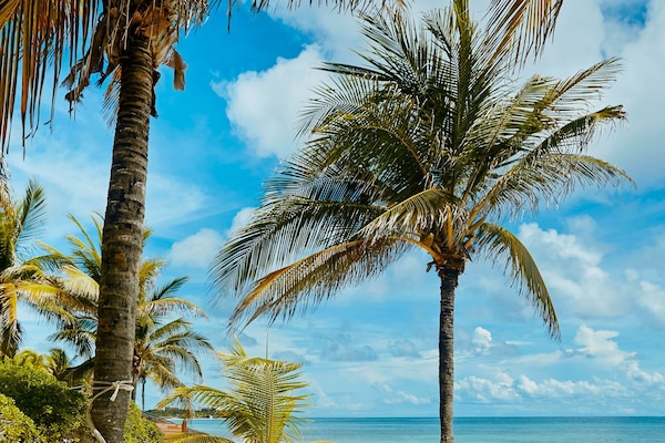 Private beach, white sand, sun loungers, beach umbrellas