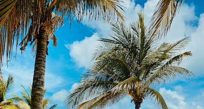 TRS Yucatan Hotel - Adults Only - All Inclusive