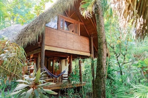 Estructura de madera con techo de paja, rodeada de vegetación tropical densa.