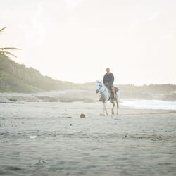 Bãi biển riêng, cát trắng, ghế dài tắm nắng, khăn tắm biển