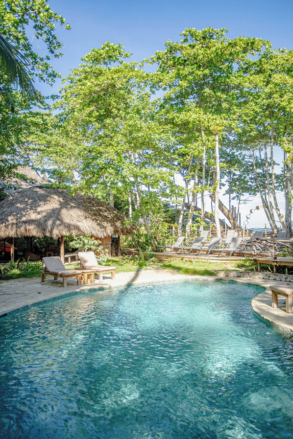 Outdoor pool, sun loungers