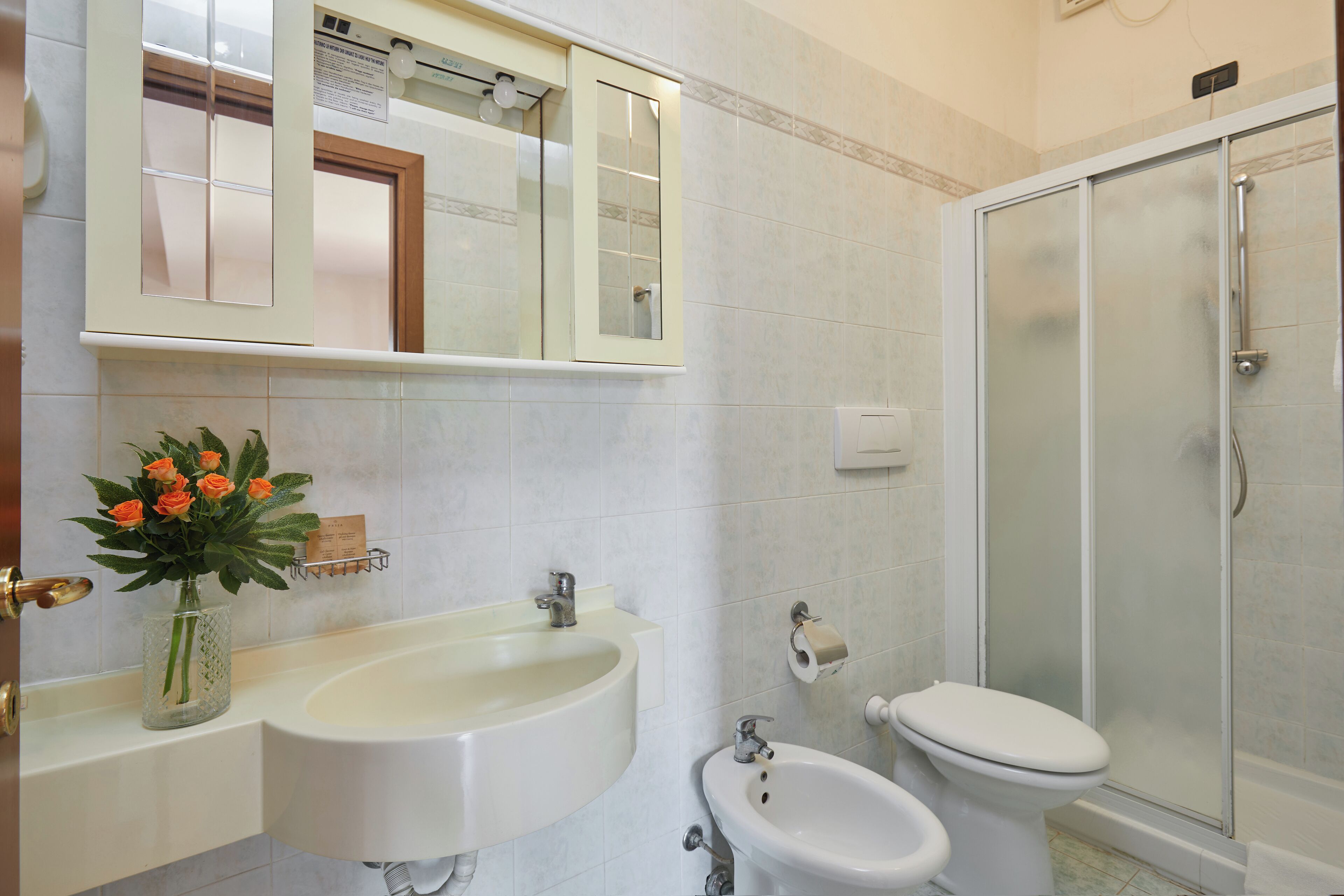 Une salle de bain équipée d’un lavabo, d’un miroir, de toilettes et d’une douche.