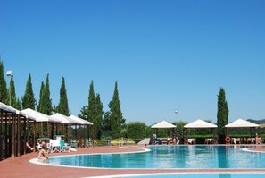 En swimmingpool med solstolar och parasoller, omgiven av höga träd.