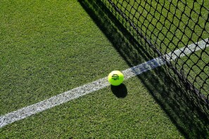 En tennisboll på en gräsplan nära nätet.