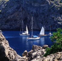 Paseos en barco