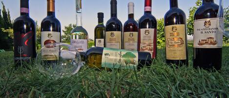 Une collection de bouteilles de vin posées sur l’herbe.