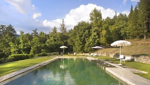 A rectangular swimming pool with clear water, surrounded by a stone deck. There are lounge chairs and umbrellas along the poolside. - Relais La Torre (Arezzo)