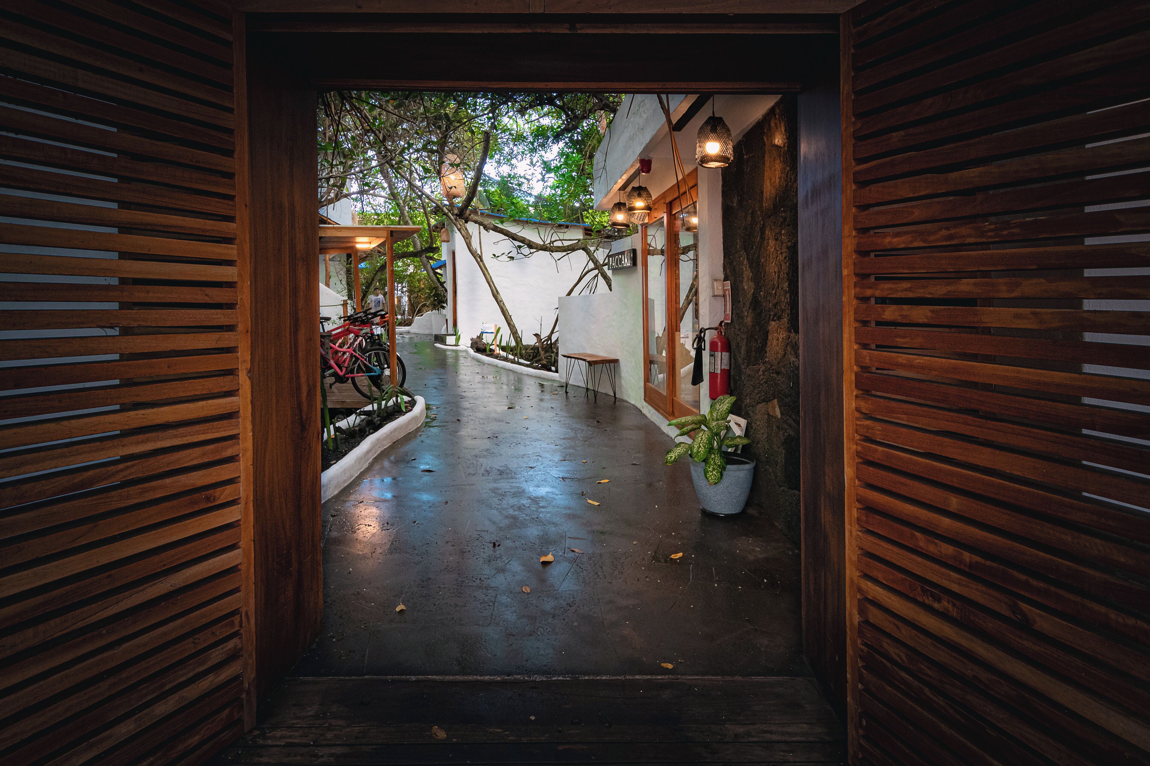 A wooden-framed entrance to a courtyard with a wet floor, bicycles, and potted plants.
