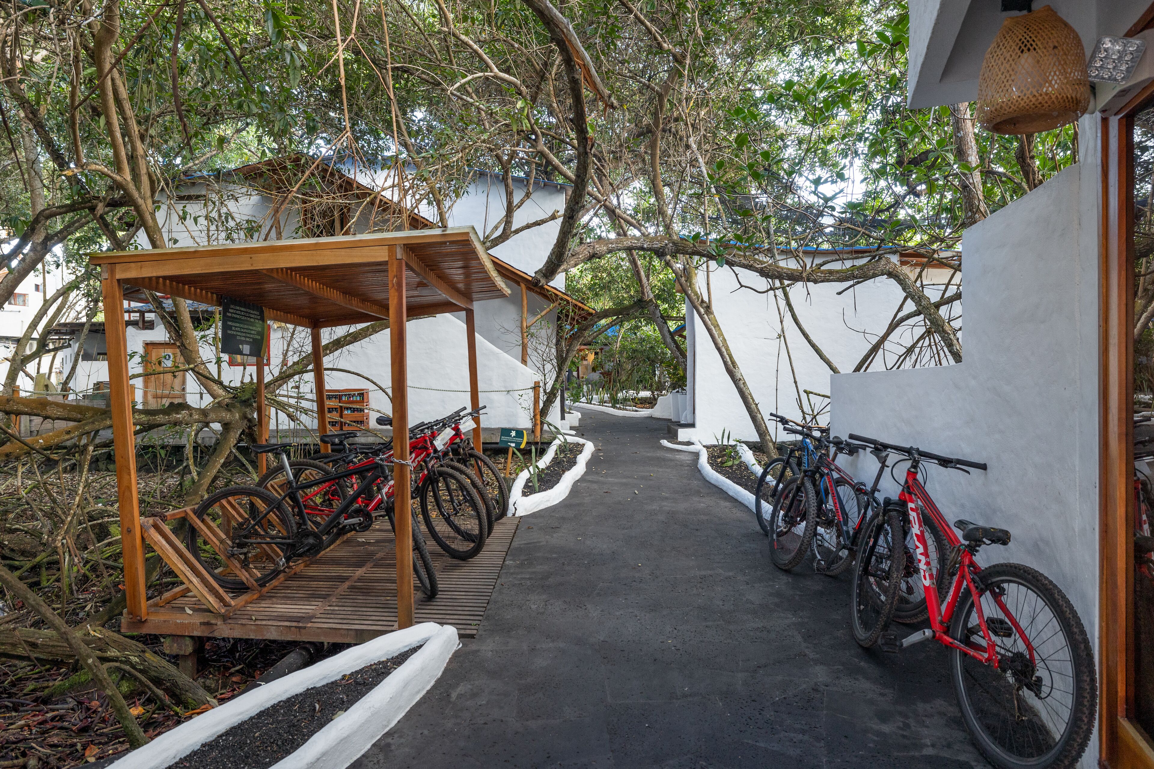 Een overdekte fietsenstalling met fietsen, een houten constructie en een pad dat naar een gebouw leidt.