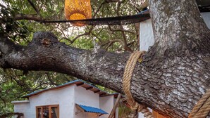 A rustic house with a sloped roof, a wooden porch, and a lantern hanging from a tree branch.