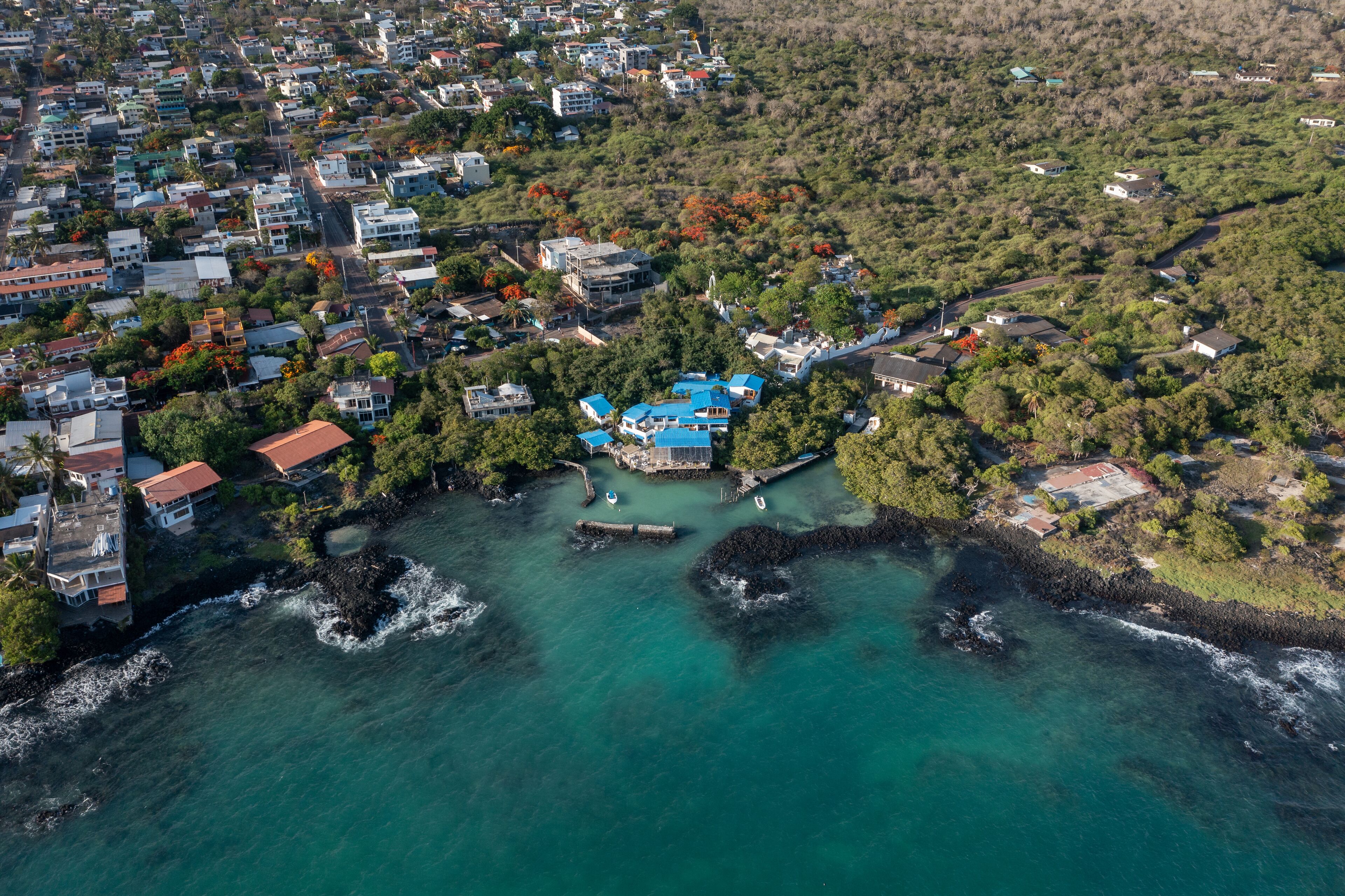 An aerial view of a coastal town with a prominent blue-roofed building surrounded by lush greenery and a clear turquoise sea.