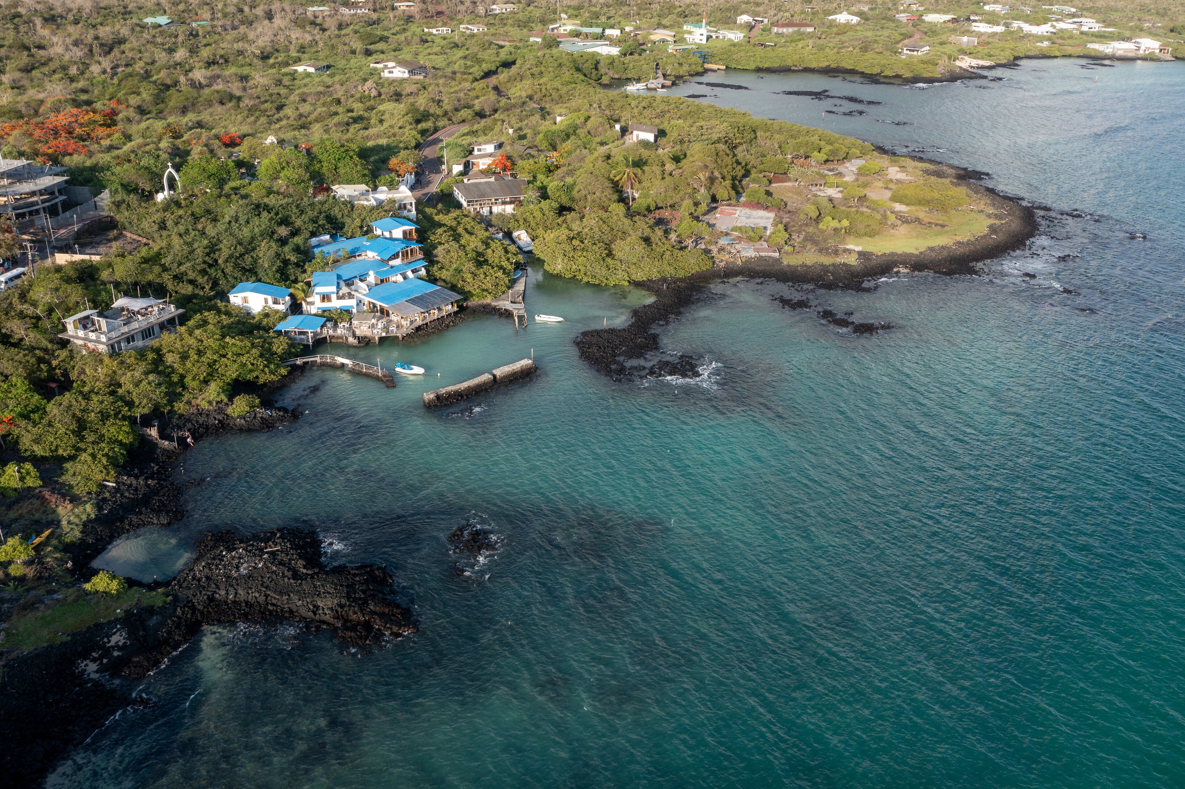 An aerial view of a coastal area with a dock, boats, and buildings with blue roofs.