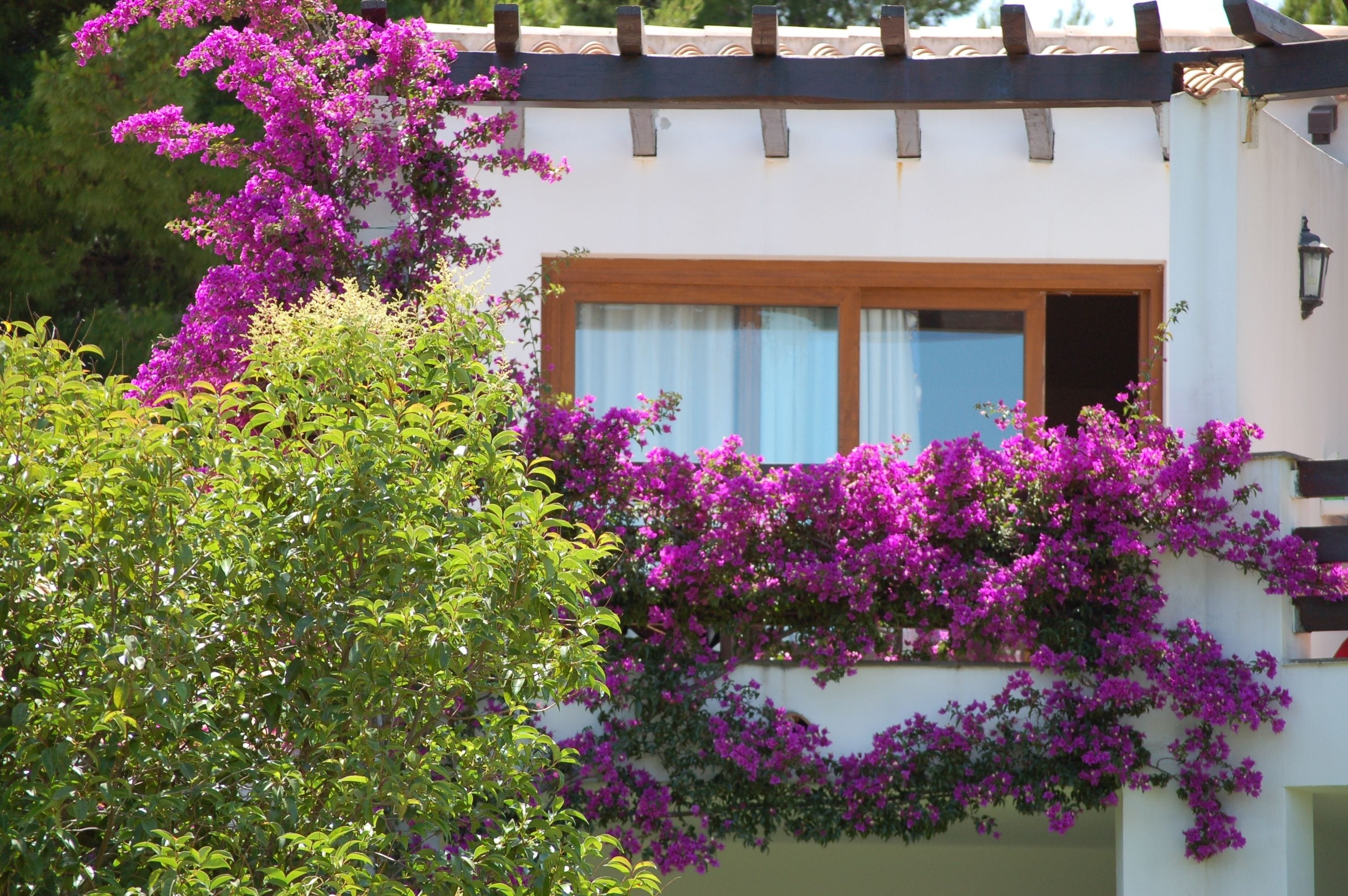 Photo - Club Esse Palmasera