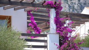 Unclassified image, 4 of 63, button - Club Esse Palmasera Resort (Dorgali)