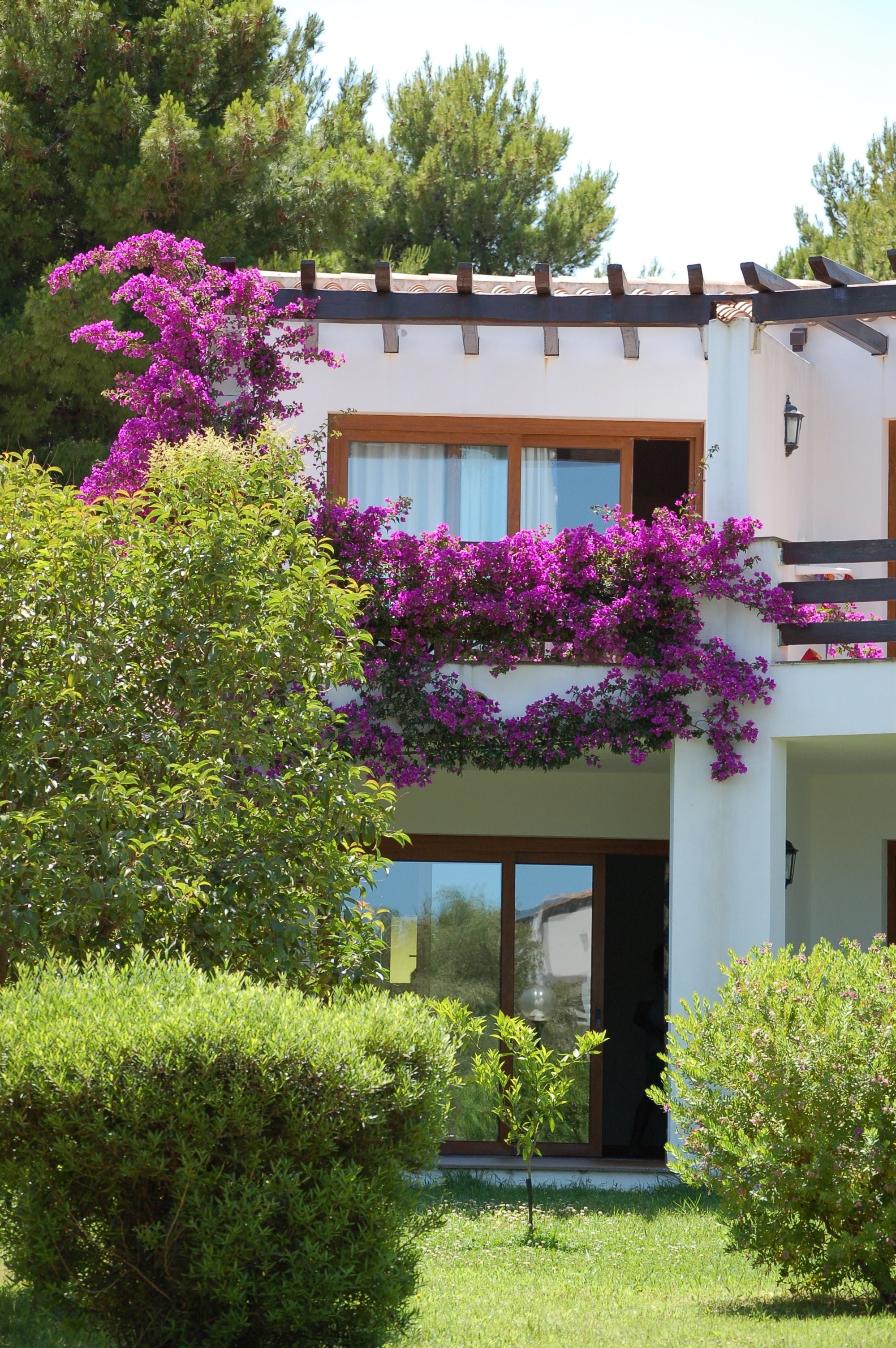 Photo - Club Esse Palmasera