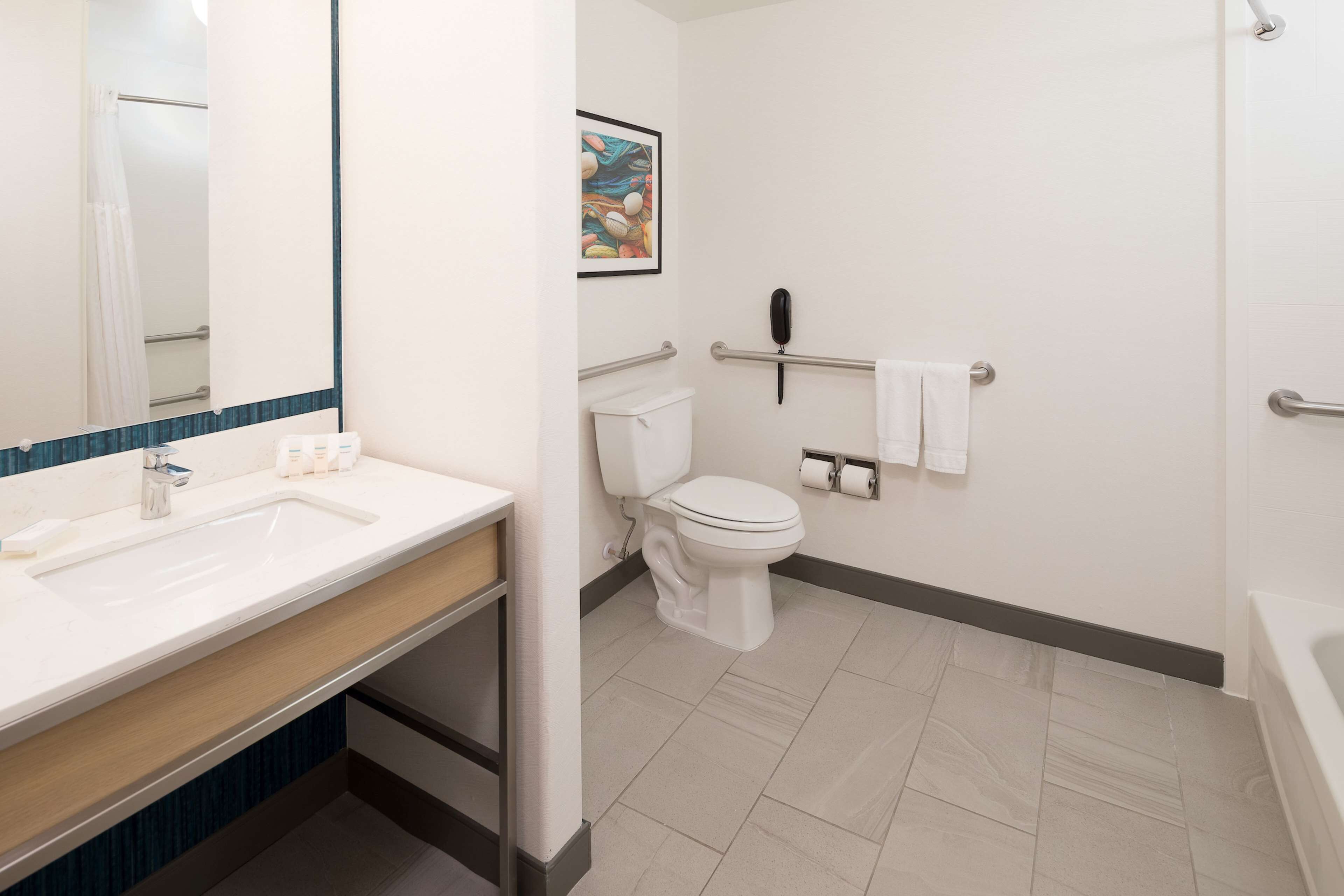 1 king bed, accessible, non smoking | bathroom | free toiletries, hair dryer, towels, soap