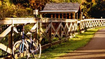A wooden bridge with a bicycle parked on the left.