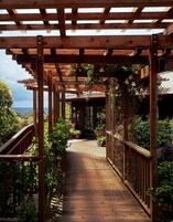 Un pasillo cubierto con pérgola de madera, con vistas a un edificio y abundante vegetación.