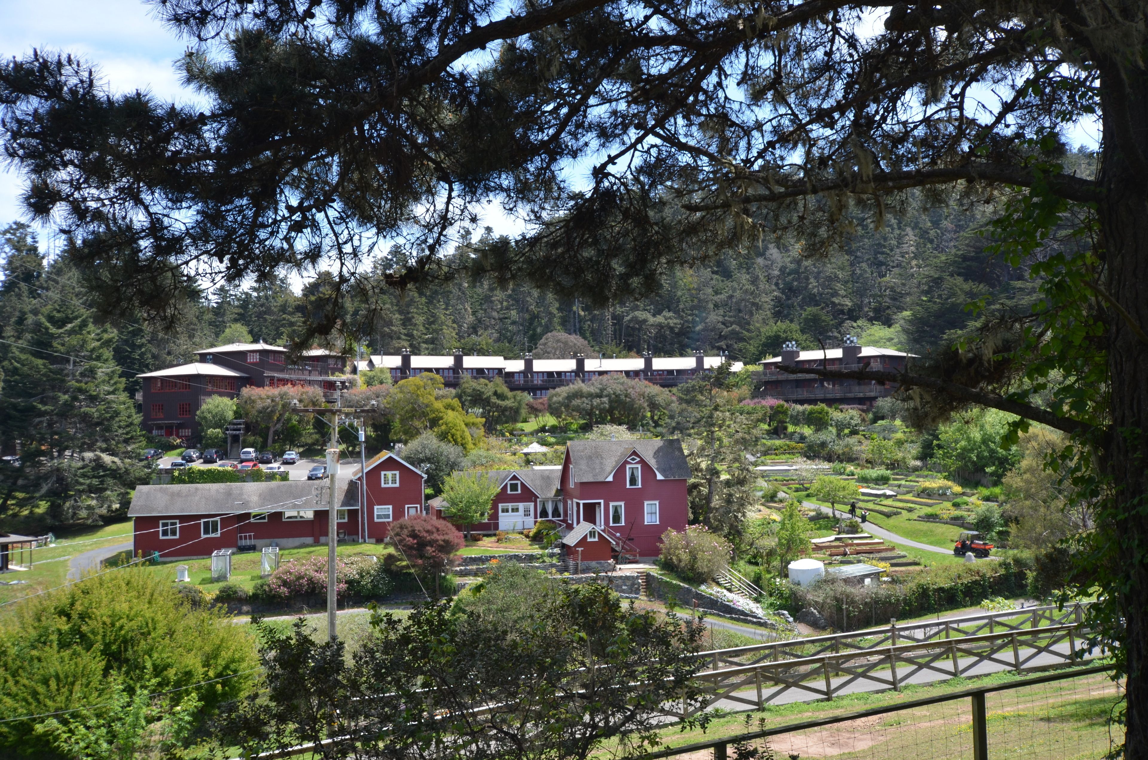 A red house with a porch, surrounded by greenery and a forested hill.