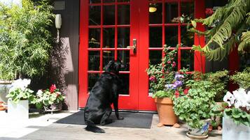 Pet-friendly