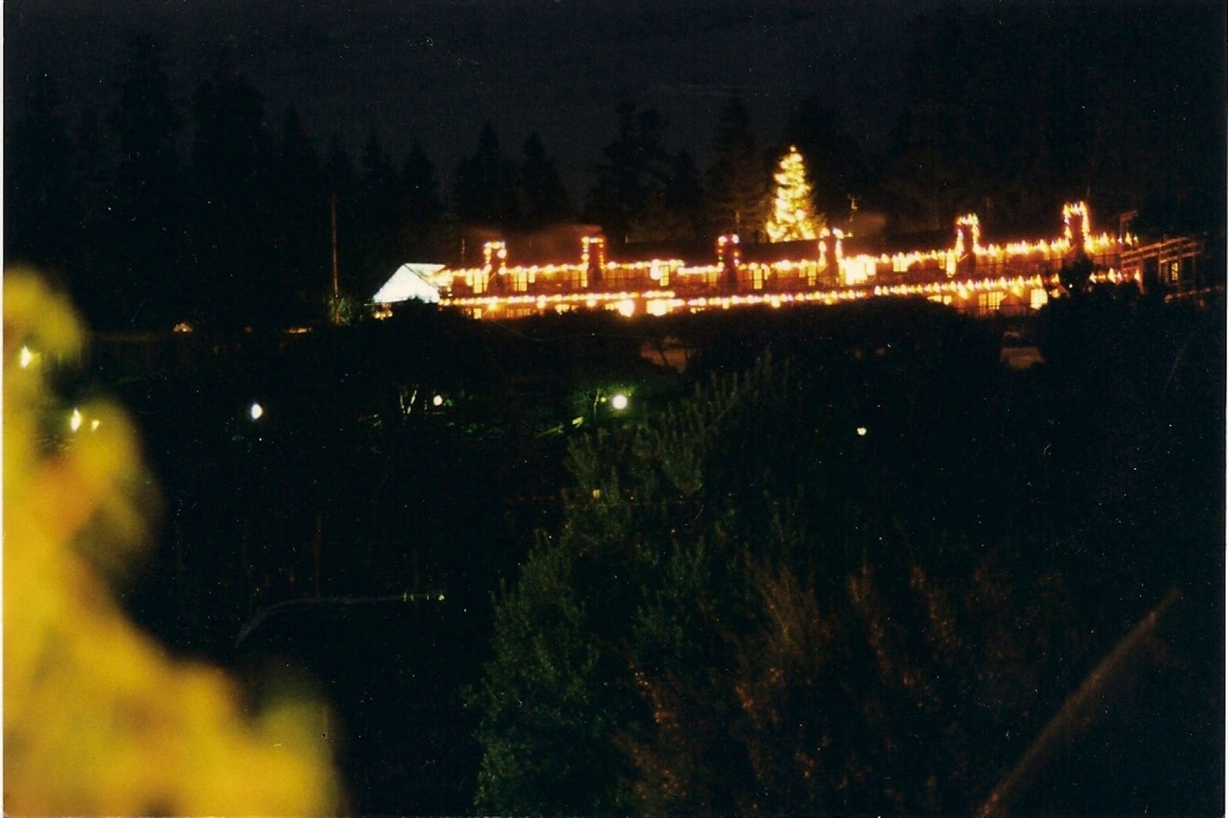 A large building with multiple illuminated sections, likely a hotel or resort, with a prominent Christmas tree and a snow-covered roof.