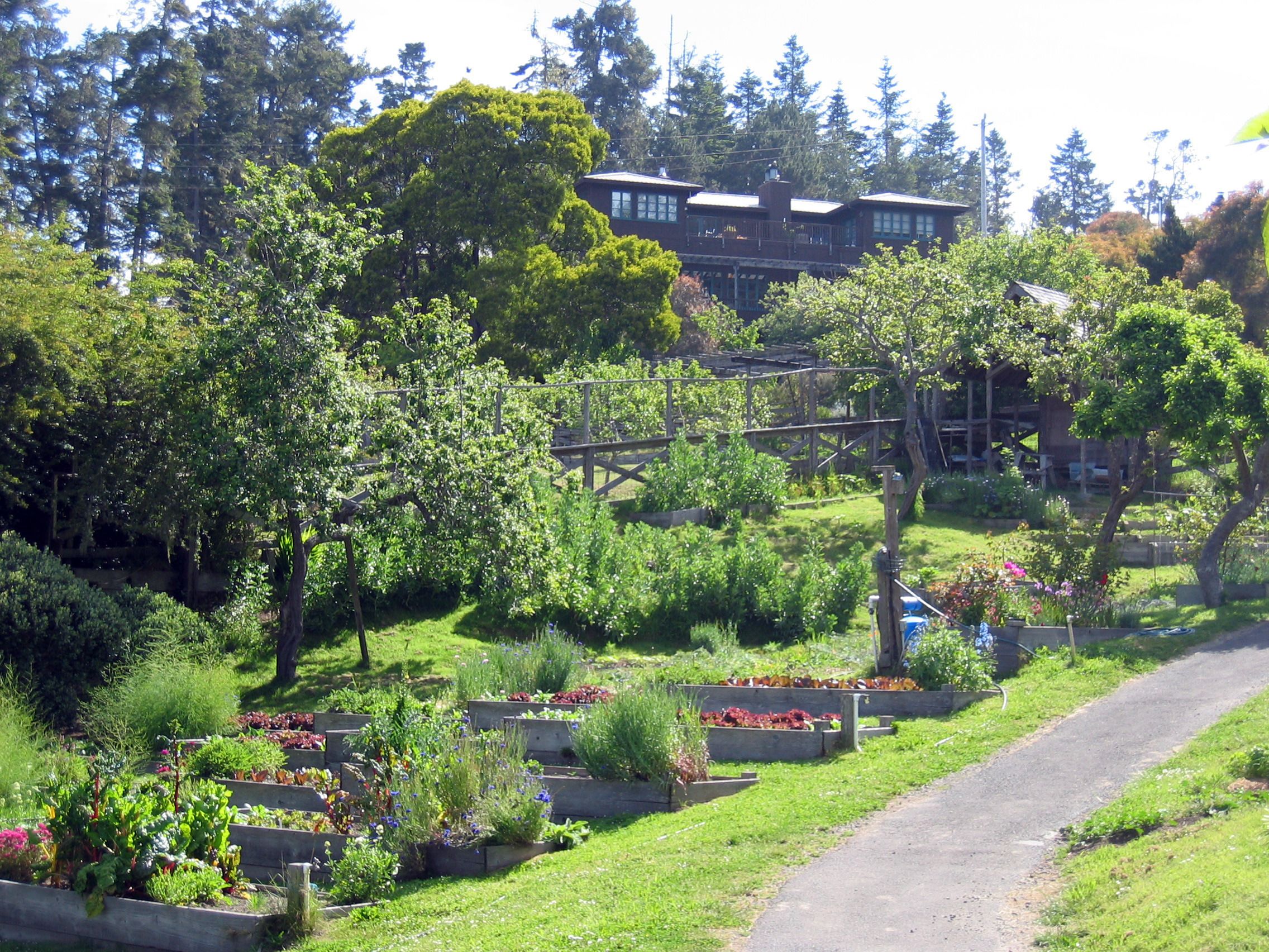 A lush garden with raised flower beds, a wooden bridge, and a building in the background.