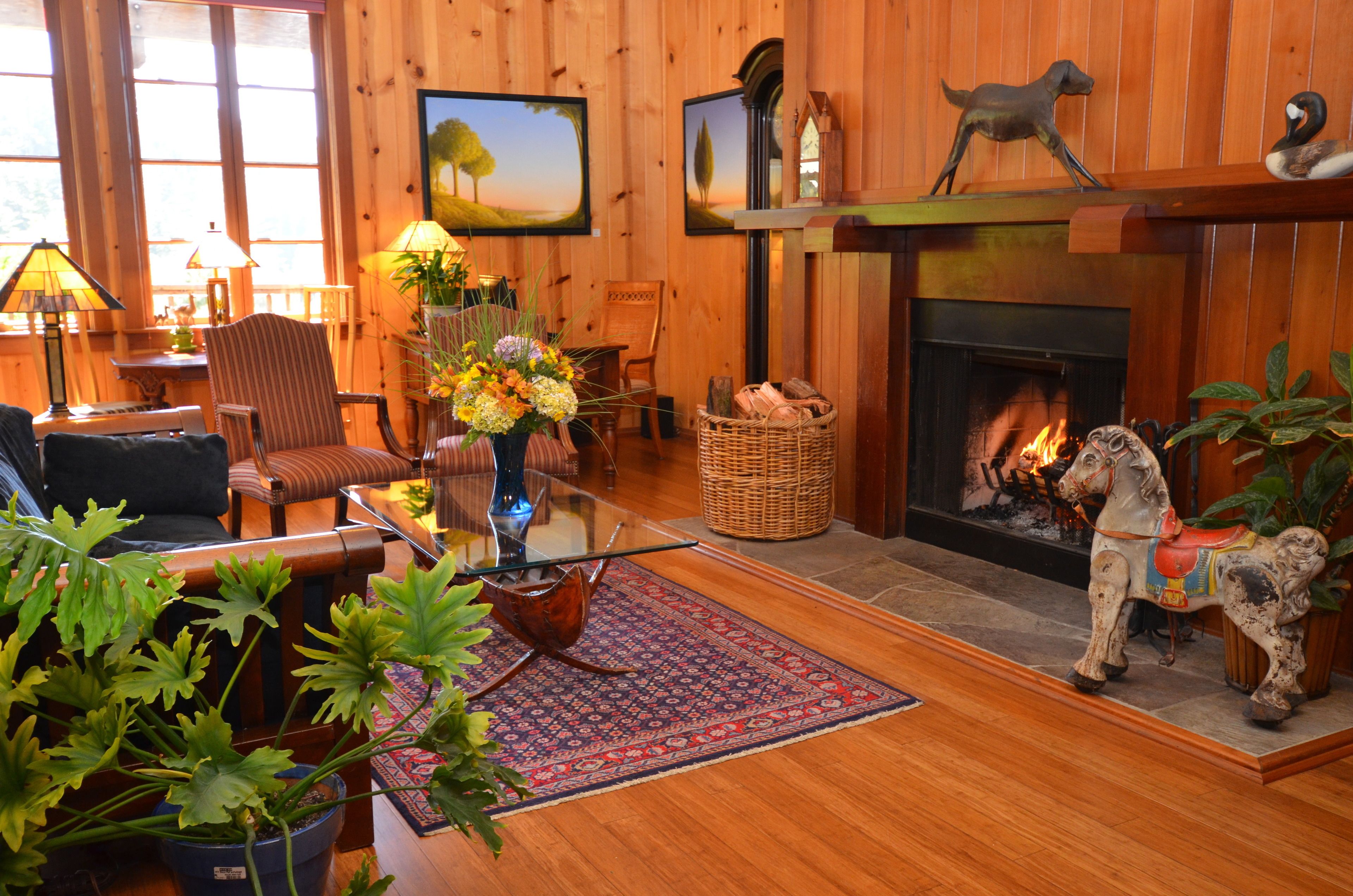 46-inch flat-screen tv with satellite channels, tv, fireplace