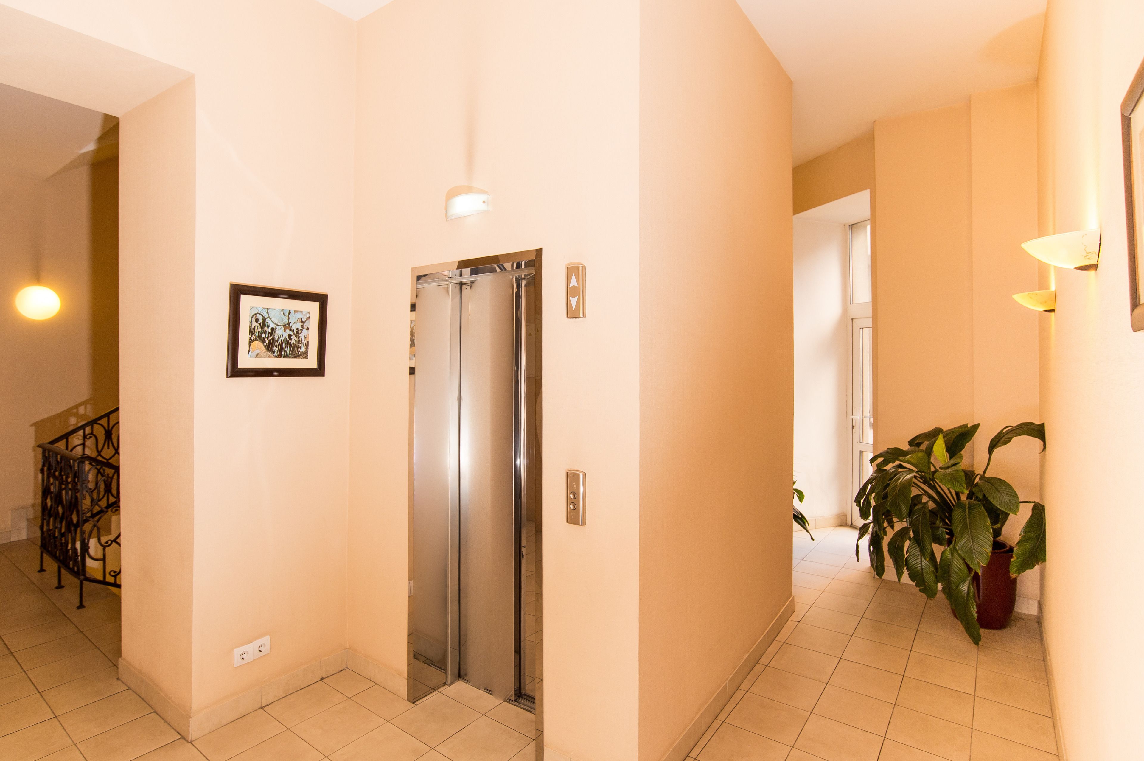 A hallway with a door, a framed picture, a potted plant, and a light fixture.