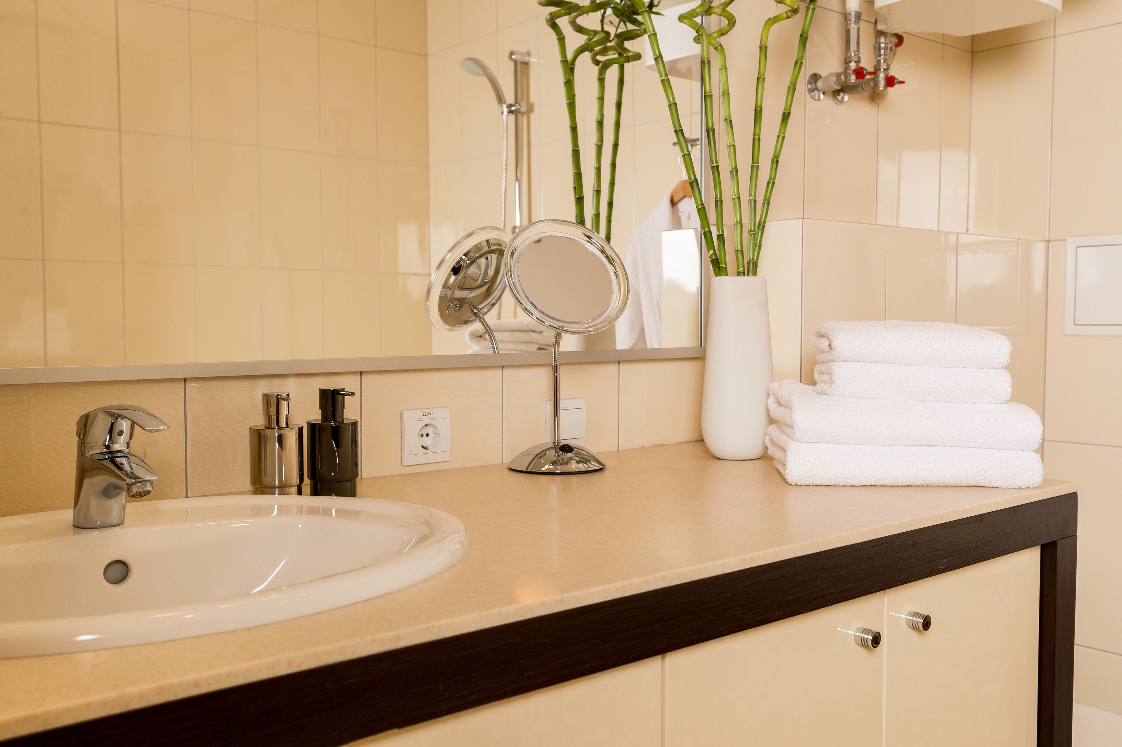 Casa de banho com lavatório, espelho e plantas de bambu.
