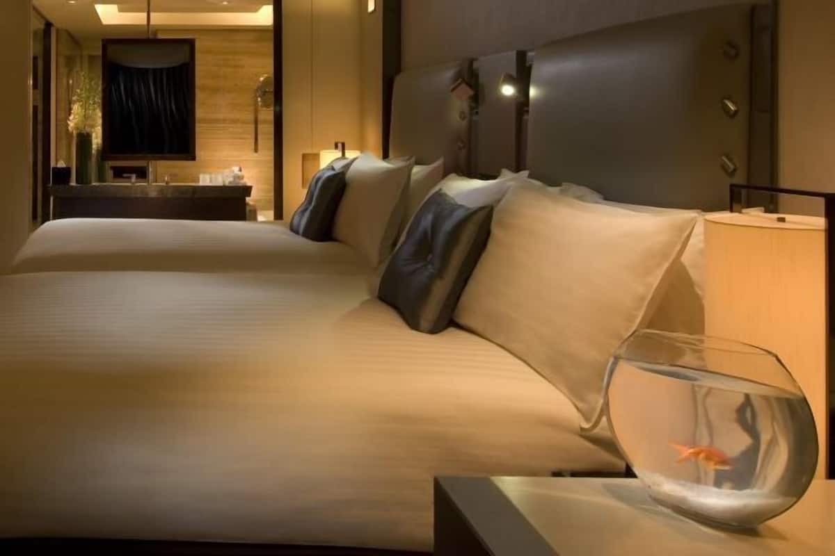 Ropa de cama de alta calidad, camas Select Comfort y minibar
