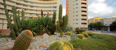 A hotel with a curved facade, multiple balconies, and a cactus garden in the foreground.