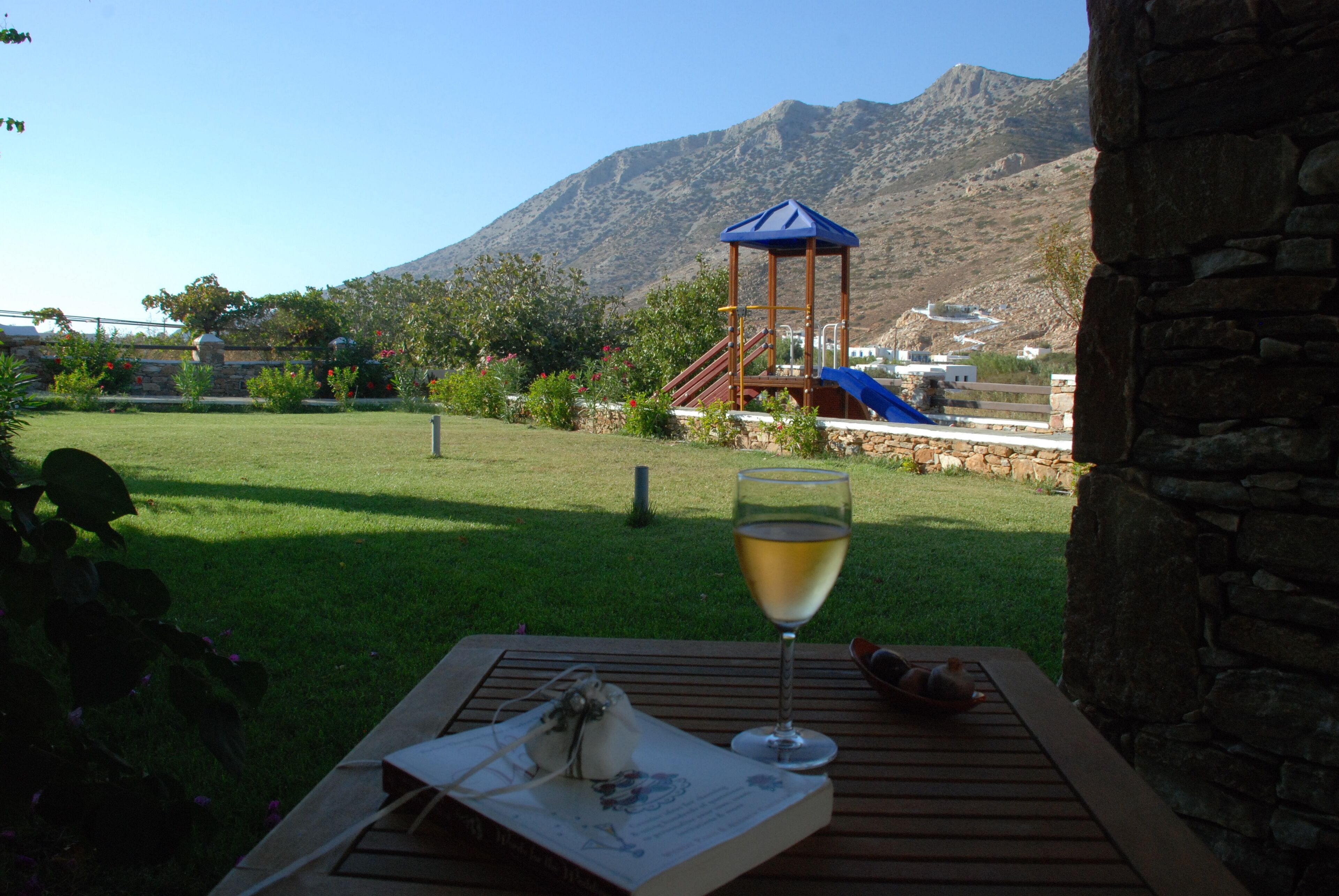 A wooden table with a glass of white wine, a book, and a pair of sandals. In the background, there is a playground with a blue-roofed structure and a mountain.