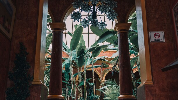 An arched corridor with columns, a tiled floor, and lush greenery.