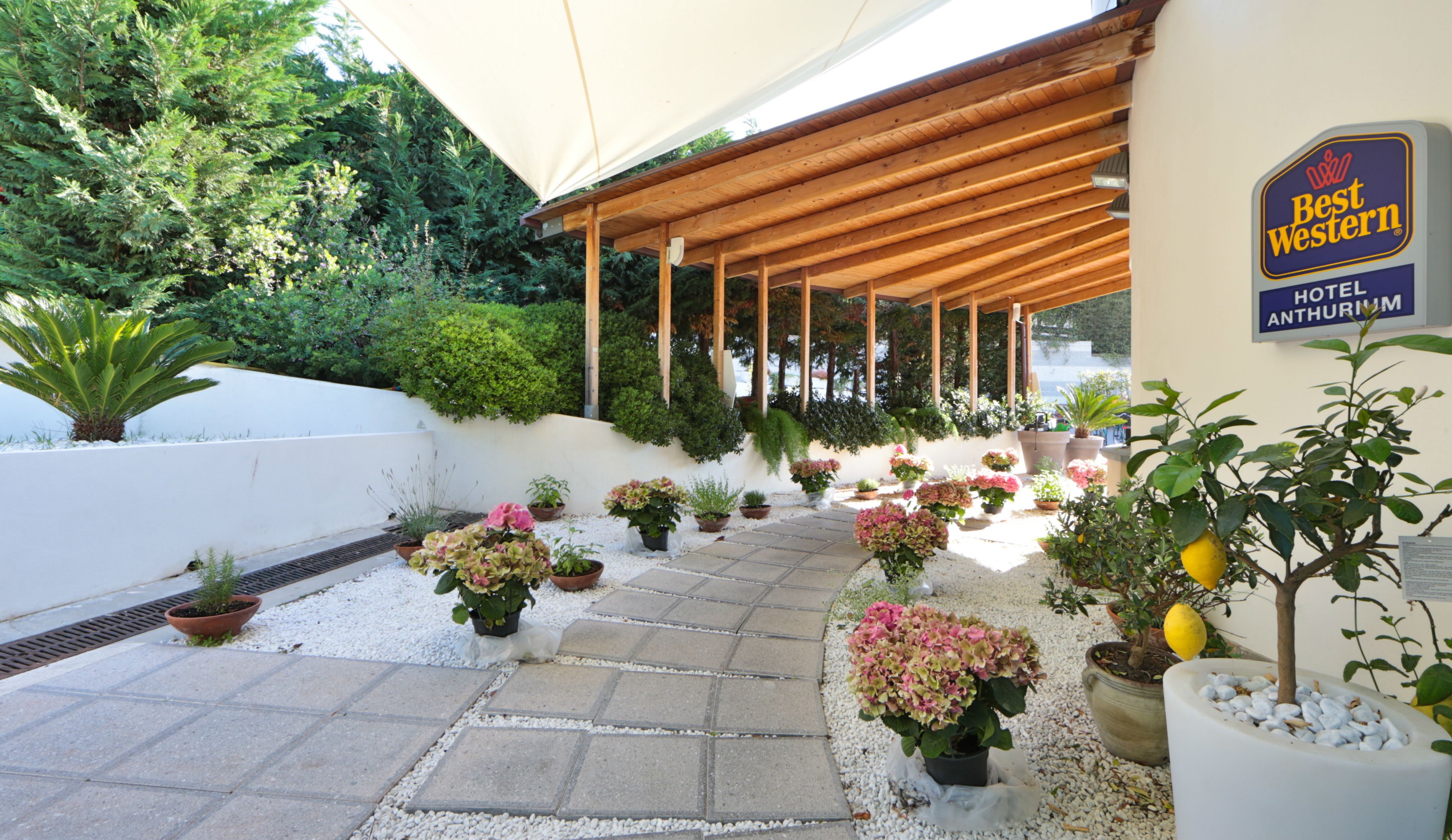 Détail de l’extérieur