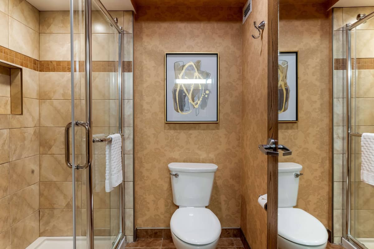 free toiletries, hair dryer, towels, soap