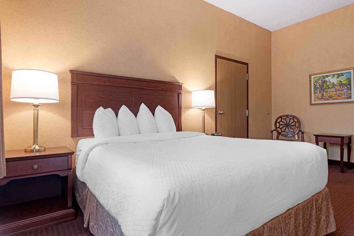 Hypo-allergenic bedding, down comforters, pillowtop beds