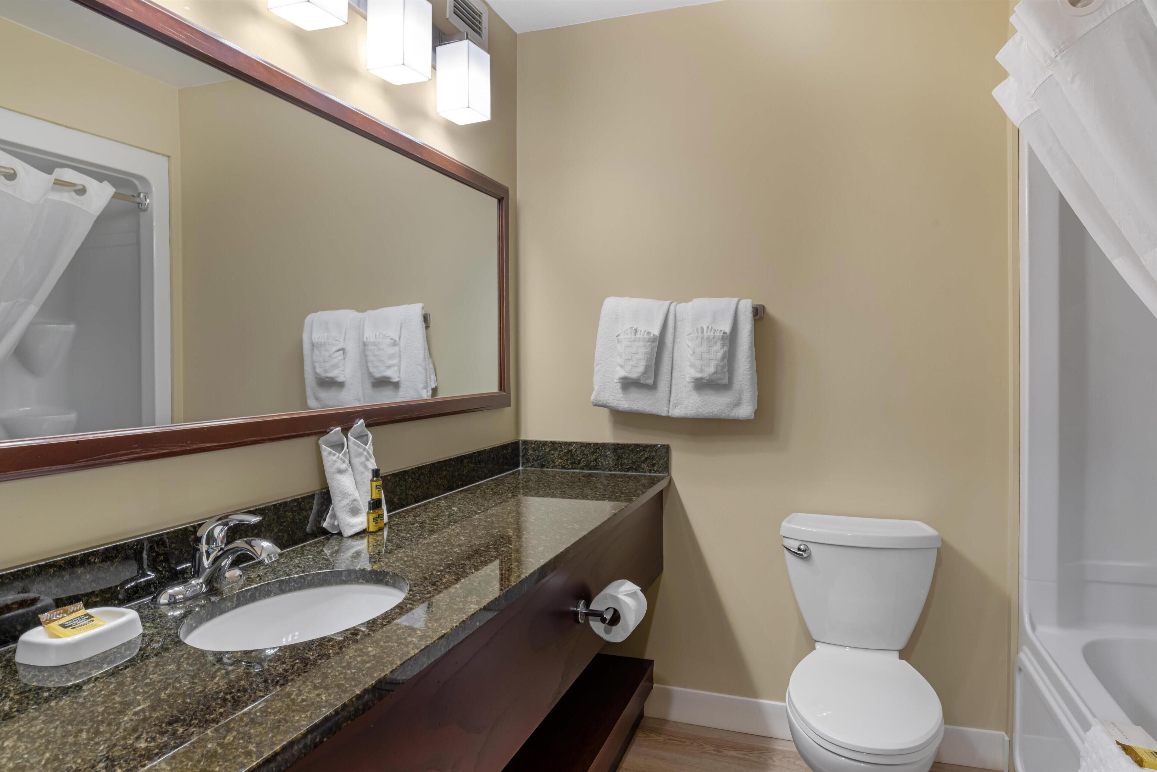A bathroom with a sink, mirror, towel rack, toilet, and shower curtain.