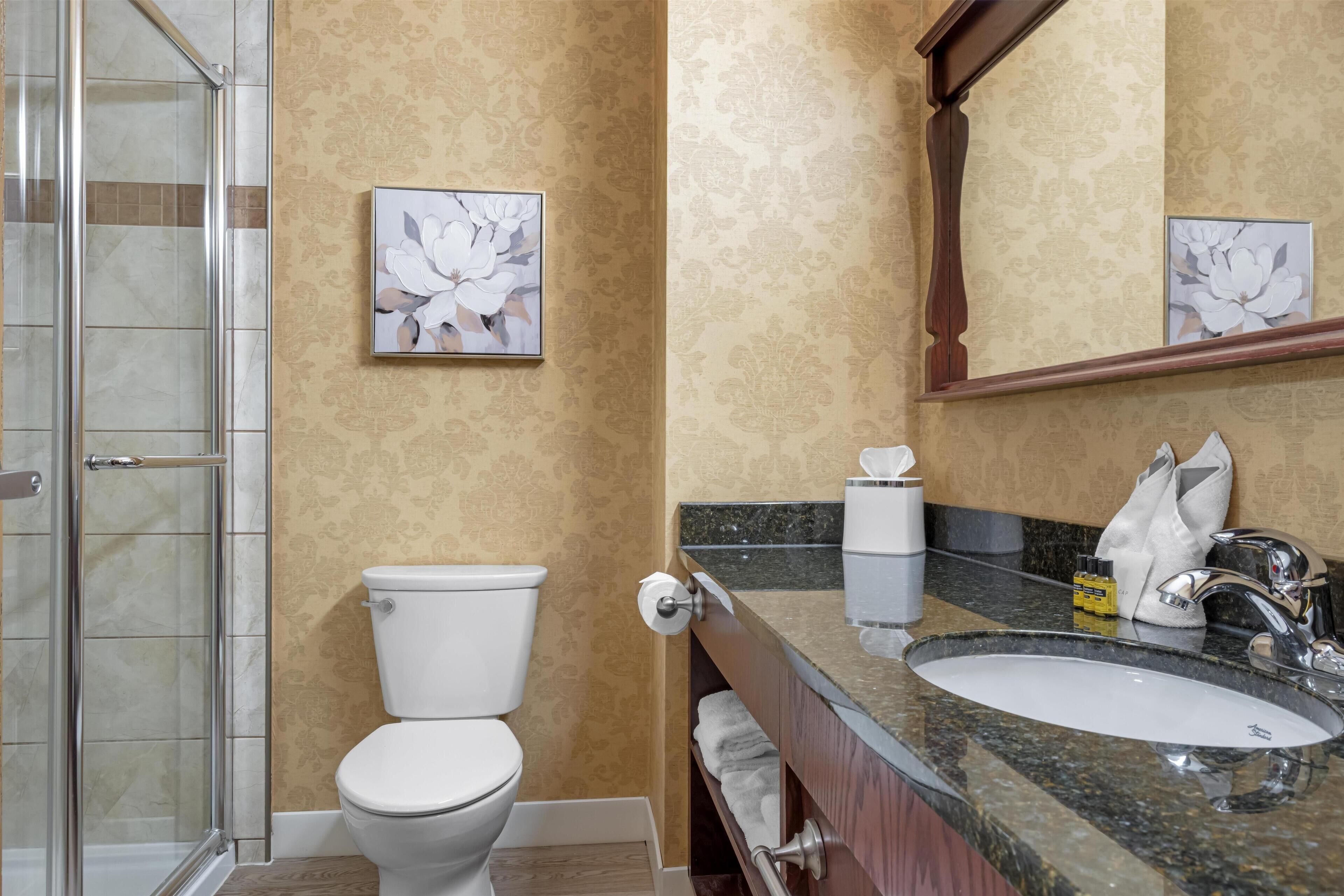 A bathroom with a shower, toilet, sink, and a mirror.
