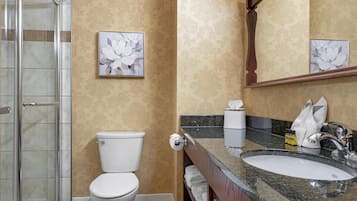 A bathroom with a shower, toilet, sink, and a mirror.