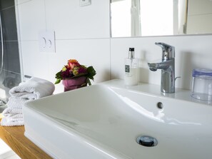Shower, free toiletries, hair dryer, towels