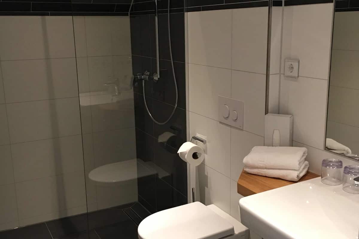 deluxe double room | bathroom | shower, free toiletries, hair dryer, towels