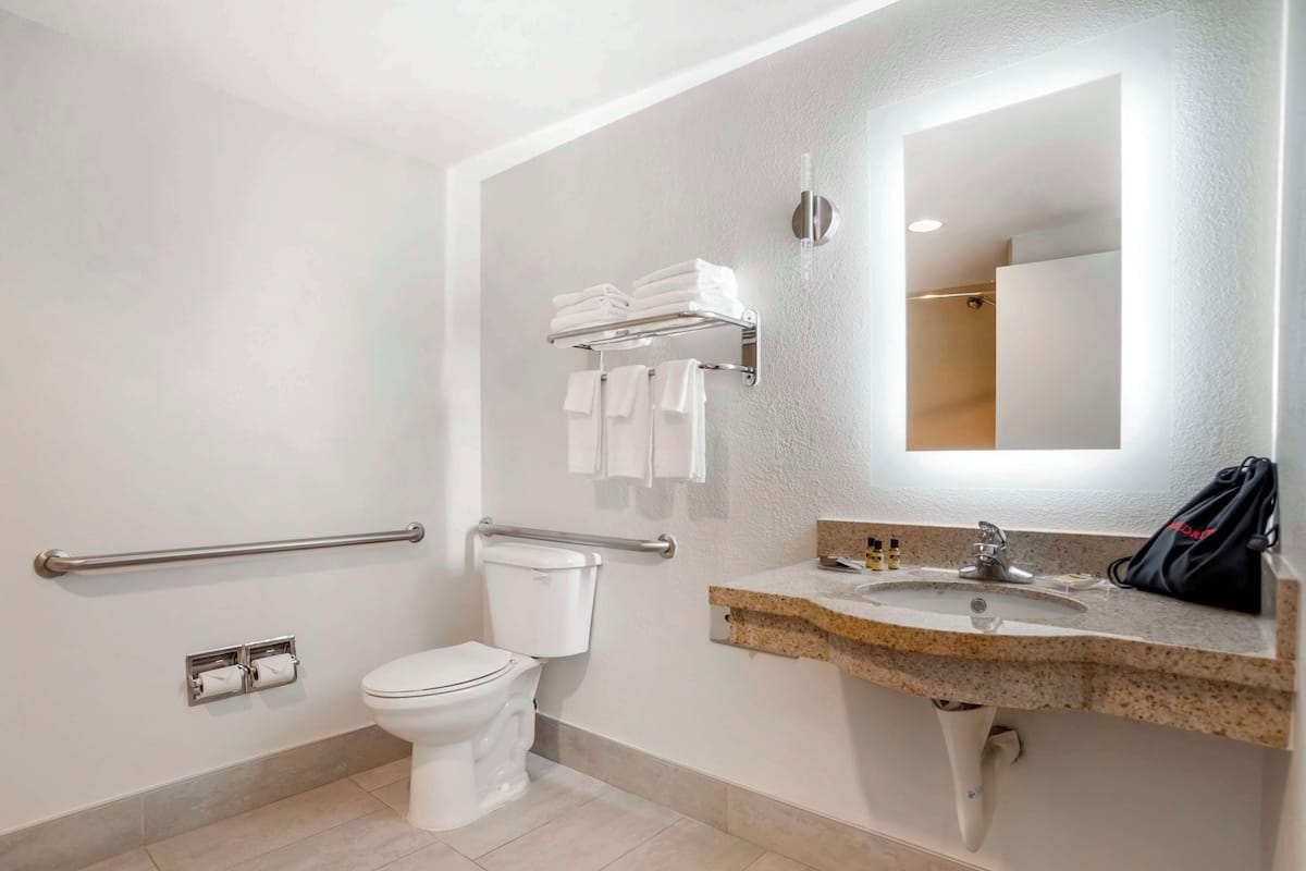 suite, 1 king bed, non smoking, jetted tub (with single sofabed) | bathroom | free toiletries, hair dryer, towels