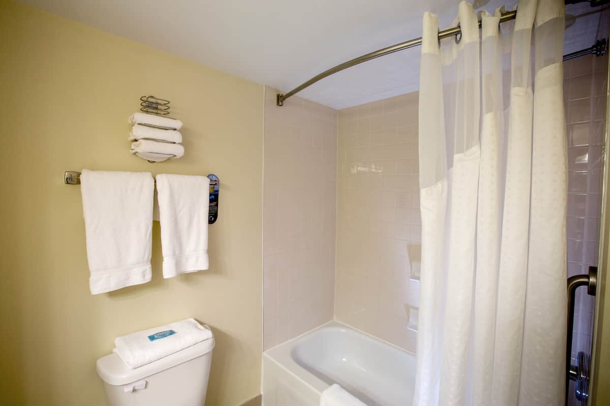 A bathroom with a toilet, a bathtub, and a shower curtain.
