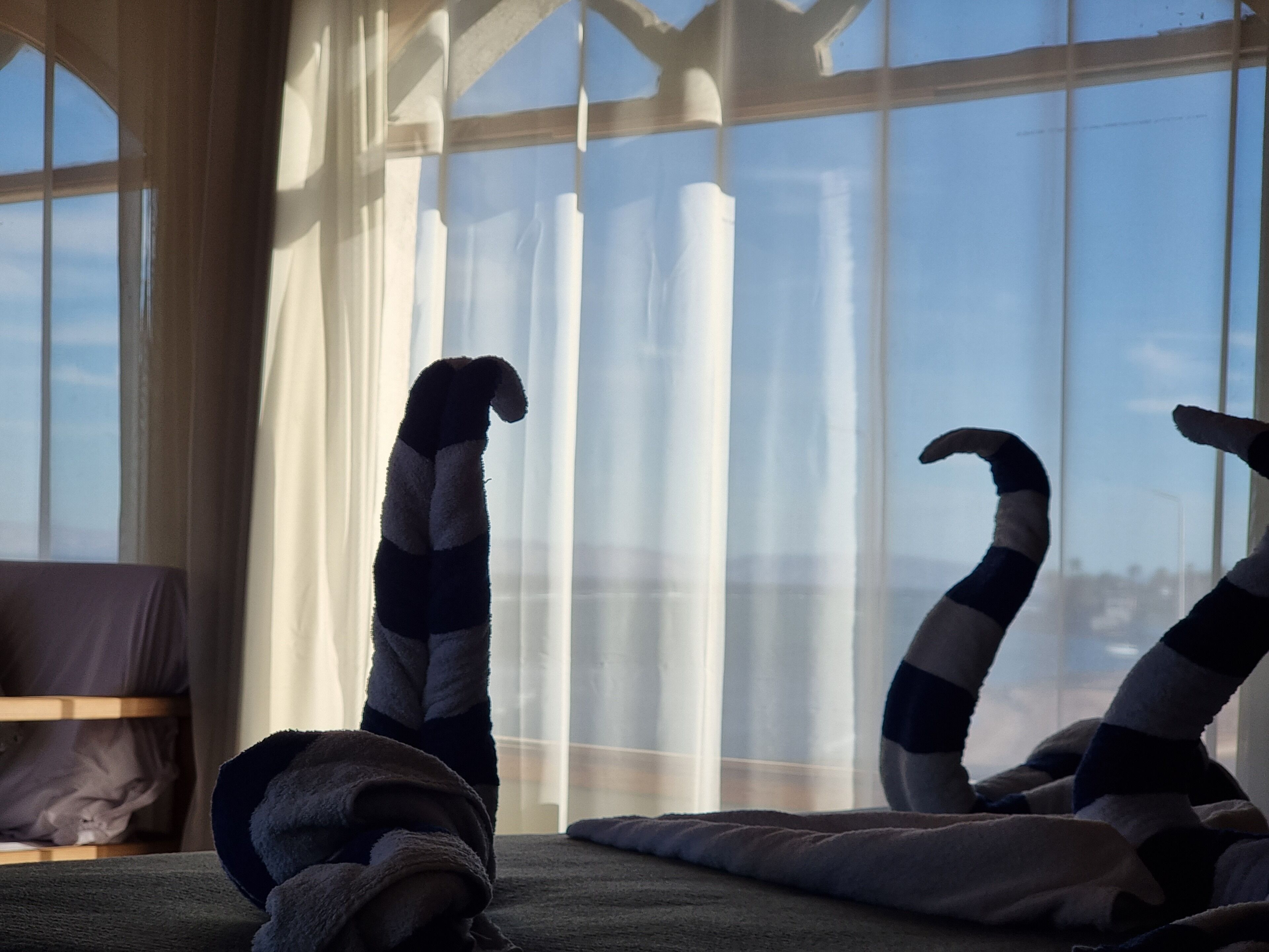 A room with a large window, a bed, and a cat tree.